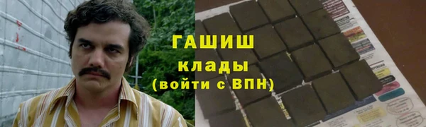 гашик Бородино