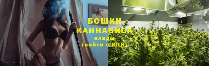 купить   Новозыбков  Бошки Шишки White Widow 